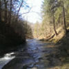 adamdailey19